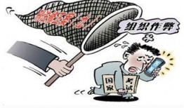 东湖盗窃学生爆料案件最新,学生爆料揭示校园安全隐患