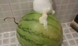 泡泡黄钰杰免费吃瓜,揭秘网红圈幕后故事