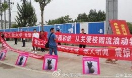 湖北学校学生爆料新闻事件,揭开校园不为人知的真相